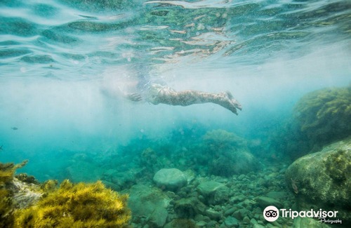 Port Lincoln Hotel | Port Lincoln YHA