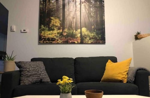 Sioux Lookout House | Cozy walk in ready tiny home in the heart of town, walking distance to hospital