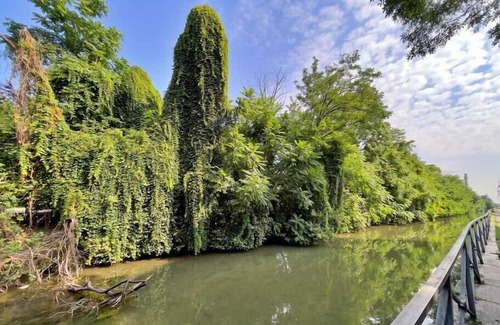 Crescenzago Apartment | Enchanting Apartment on the Naviglio della Martesana
