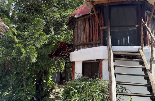 Tulum City Center Cabin | Beautiful treehouse in the heart of Tulum
