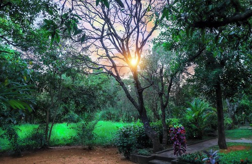Sigiriya House | Escape to Nature's Peace: Relax in Comfort at Cattleya Guest House on VRBO!