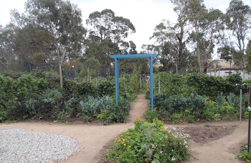 Metcalfe House | Unwind in a cosy bungalow in the midst of our organic permaculture mini-farm.