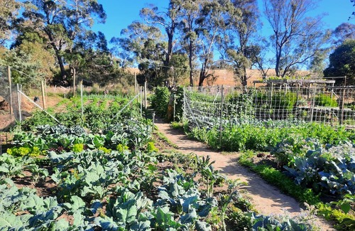Metcalfe House | Unwind in a cosy bungalow in the midst of our organic permaculture mini-farm.