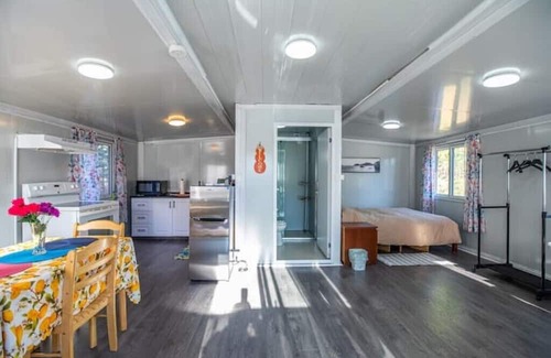 Kawartha Lakes Cabin | Cozy serene cabin, nestled in pine woods
