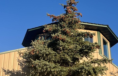 Cedaredge Apartment | Farm Stay Guest Apartment on Private Orchard with Goats!
