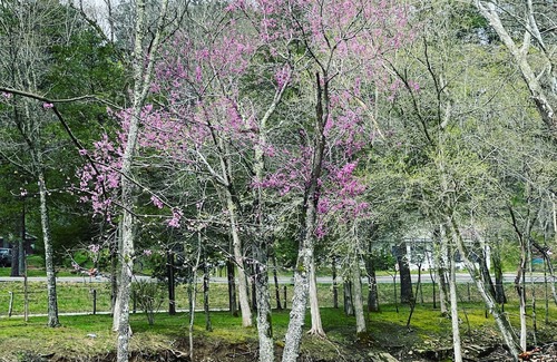 Marble Falls RV Rental | Creekside Campground in Marble Falls