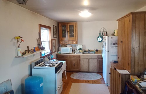 Keuka Park Cabin | Rustic sanctuary surrounded by pines, deer and wildlife but close to everything!