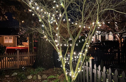 Riley Park House | Cozy 2 Bedroom Home In Vancouver