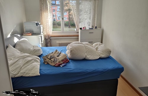 Wollishofen Apartment | Zurich 2 bedroom with balcony