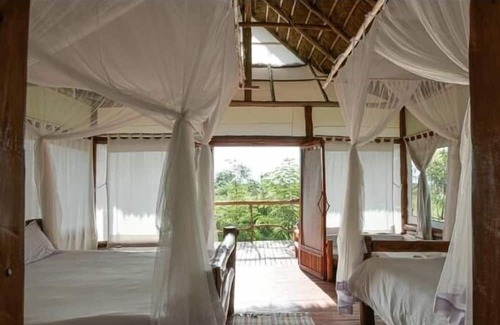 Kasese Cabin | Kazinga Wilderness Safari Camp