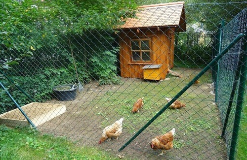 Groenohe House | Holiday farm Hohe Drei Zinnen