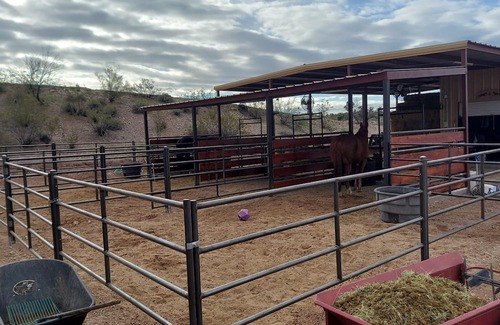 Wickenburg Apartment | Desperatehills Casita one bedroom full kitchen and corral