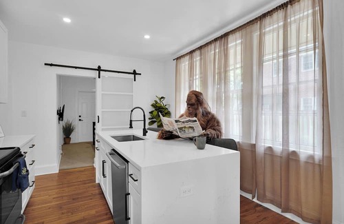 San Marco House | Luxury Oasis + Guest Suite Pool, Hot Tub & Grill Patio