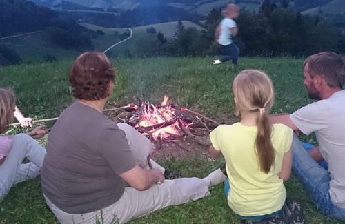 Grossraming Other | Triple room Adlerhorst (3 - 6 nights) - Ferienhof Rabenreith