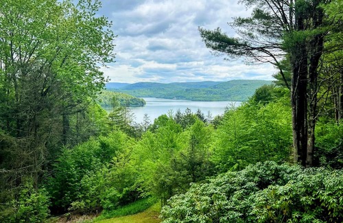 Downsville Cabin | The Lakeview Art House