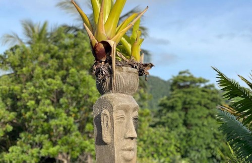 Mission Beach Apartment | Rainforest King Rooms | Shared Kitchen + Lounge | Sleeps 2–8