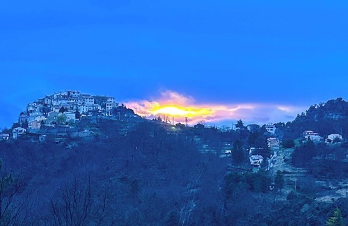 Tourette-du-Chateau House | Water lilies nestled in a haven of tranquillity.