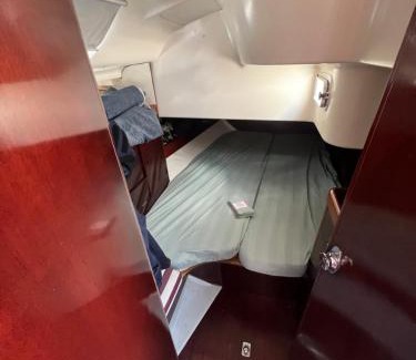 Torquay City Centre Boat Rental | Carranade yacht