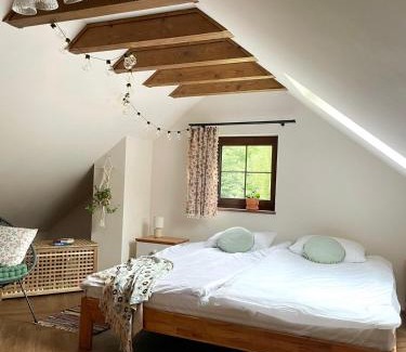 Stara Rzeka House | Stara Rzeka 2