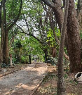 Port Shepstone Apartment | Piradise