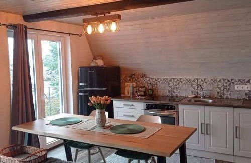 Rymarov Cabin | Chaloupka Harrachov u Rýmařova