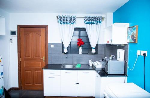 Ngara West Apartment | Furnished Studio