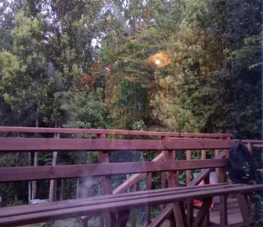 Lican Ray Apartment | Lican Ray 2024