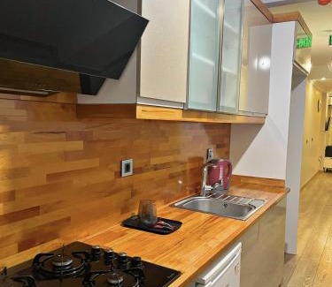 Bakırkoy Apartment | The Pashaam Suit Bakırköy