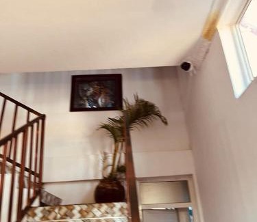 Stone Town Bed & Breakfast | Z,raha leo swahili experience