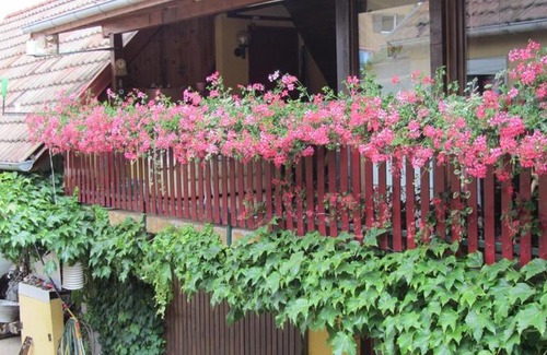 Beblenheim House | Gite du Vignoble Beblenheim