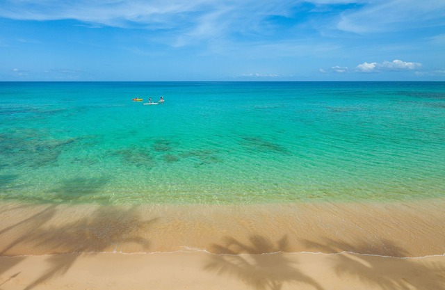 Waves Hotel & Spa by Elegant Hotels - All Inclusive