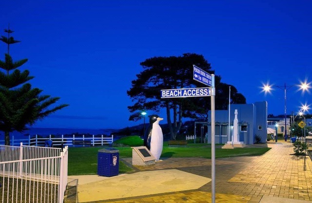 Penguin Waterfront Escape