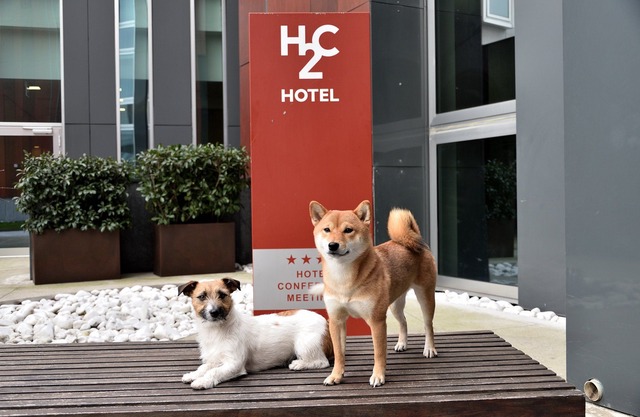 H2C Hotel Milanofiori