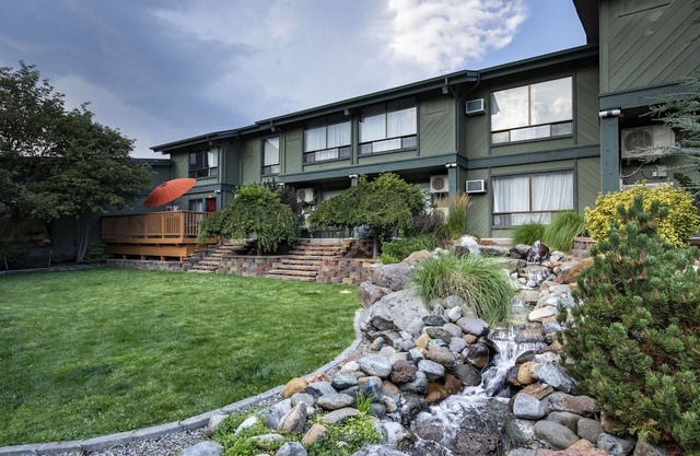 Best Western Plus Tree House