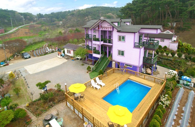 La VIE En Rose Pension Taean