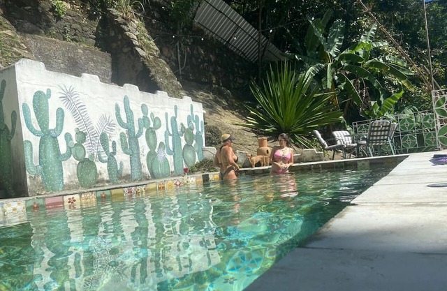 Urban Retreat - Peace and nature in the middle of the city