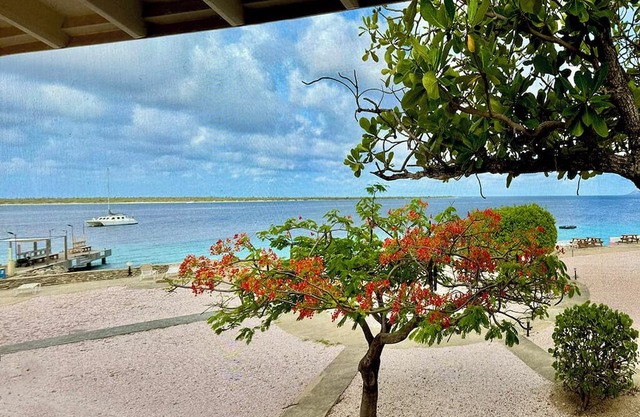 Stunning Oceanfront 2-Bed, High End Remodel, Luxury Furnishings, Sand Dollar A6
