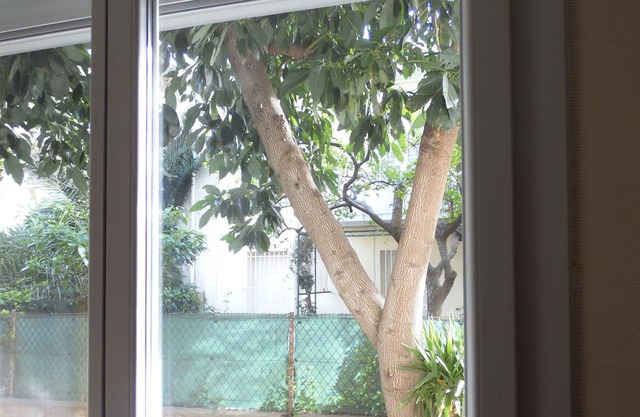 Vintage IN Perpignan, T2, Proximité Gare et Centre Ville