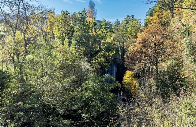 Vrbo Property