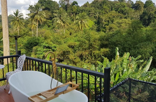 The Pubpa Backyard