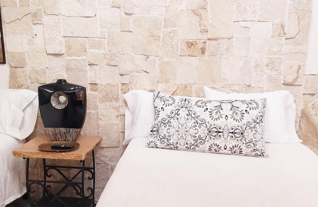 Spacious Loft 1-Bedroom centrally-located place #2