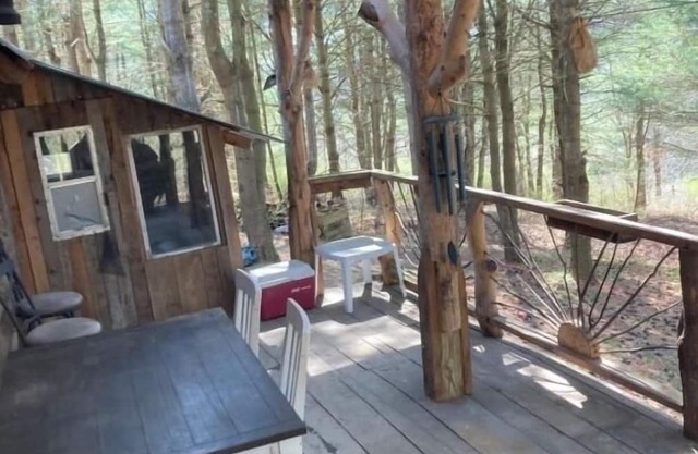 Cozy, rustic off grid cabin on 15 acres. Pet friendly! No cleaning or pet fees!!