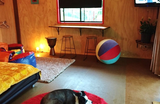Pet Friendly Timber Gym Cabin
