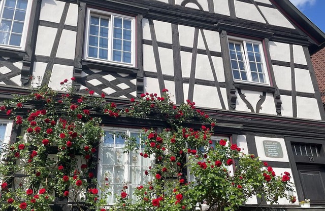 Apartment 'Scheffelhaus' with Wi-Fi