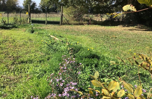 Charming house with private sauna