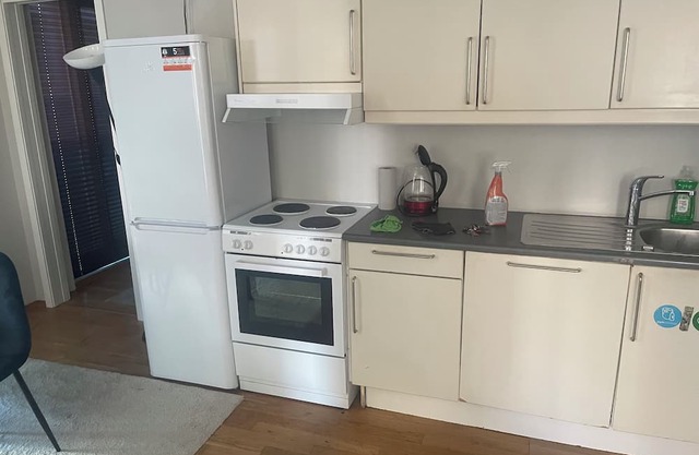 Grand center apartment