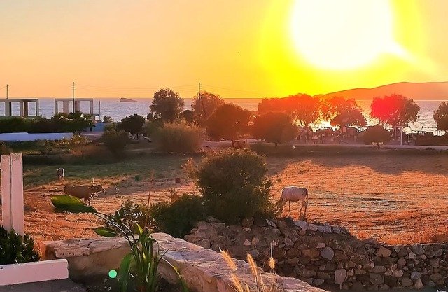 Holiday Home 'Sunset Residence Leros' with Sea View, Wi-Fi and Air Conditioning