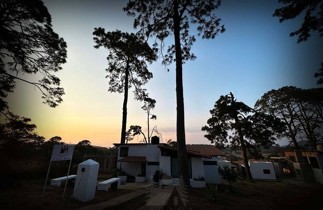Dago Cabin