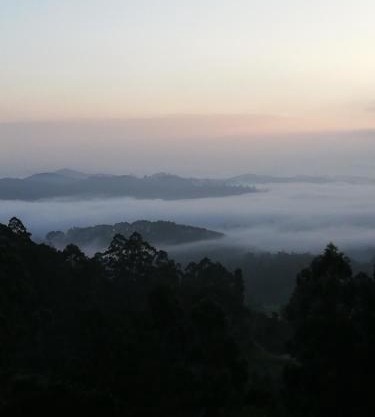 Ohiya Mount Plaza