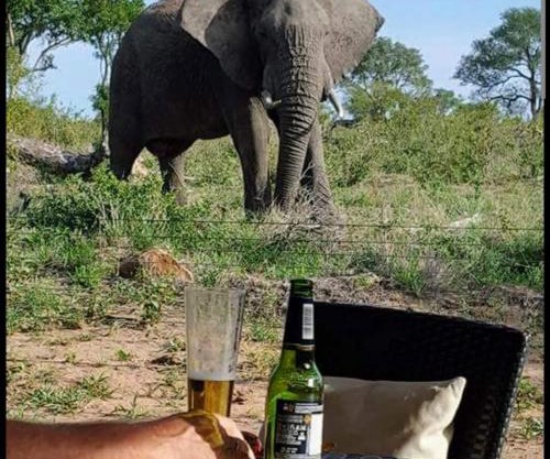 Mjejane bush lodge